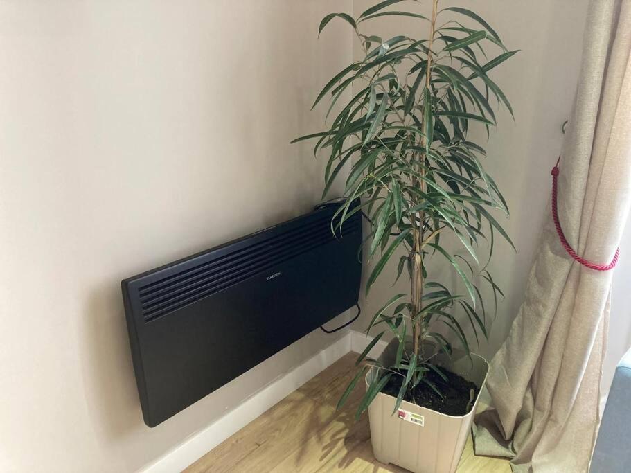 T 2 Calme&Douceur Apartamento Tarbes Exterior foto